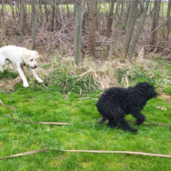 Zdjęcie: 4.jpg